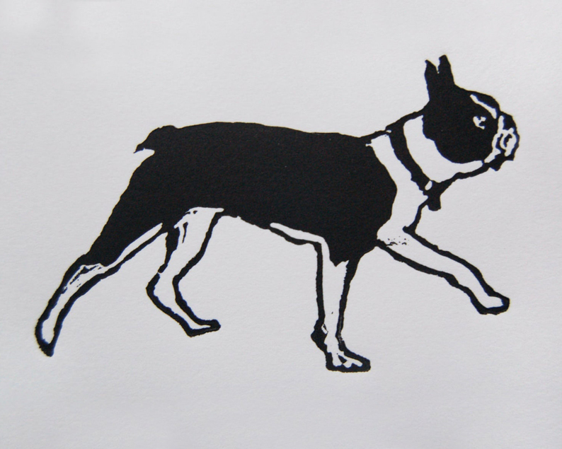 Boston terrier walking linocut print unframed