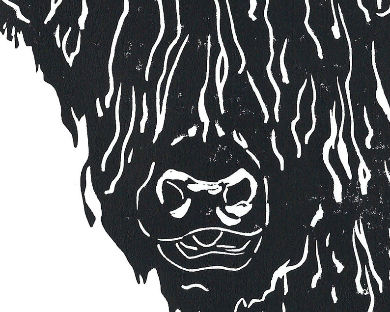 Highland cow linocut print close up