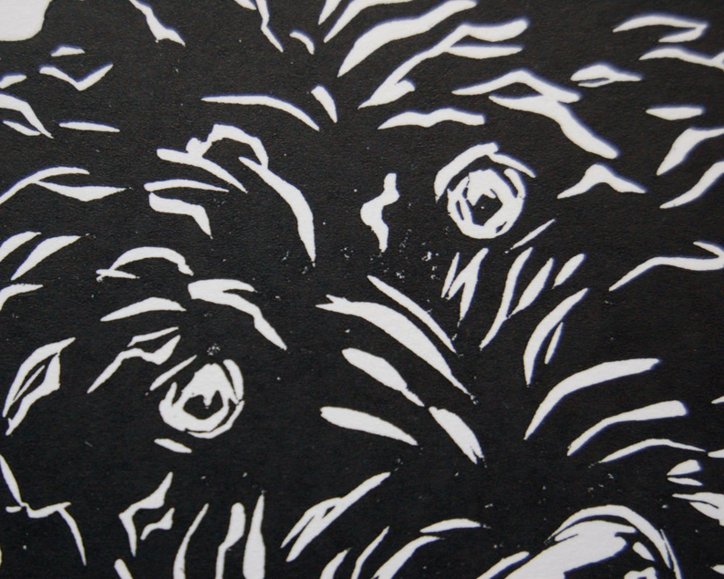 Labradoodle linocut print close up