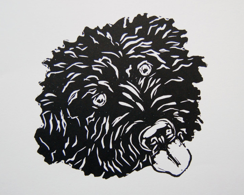 Labradoodle linocut print unframed