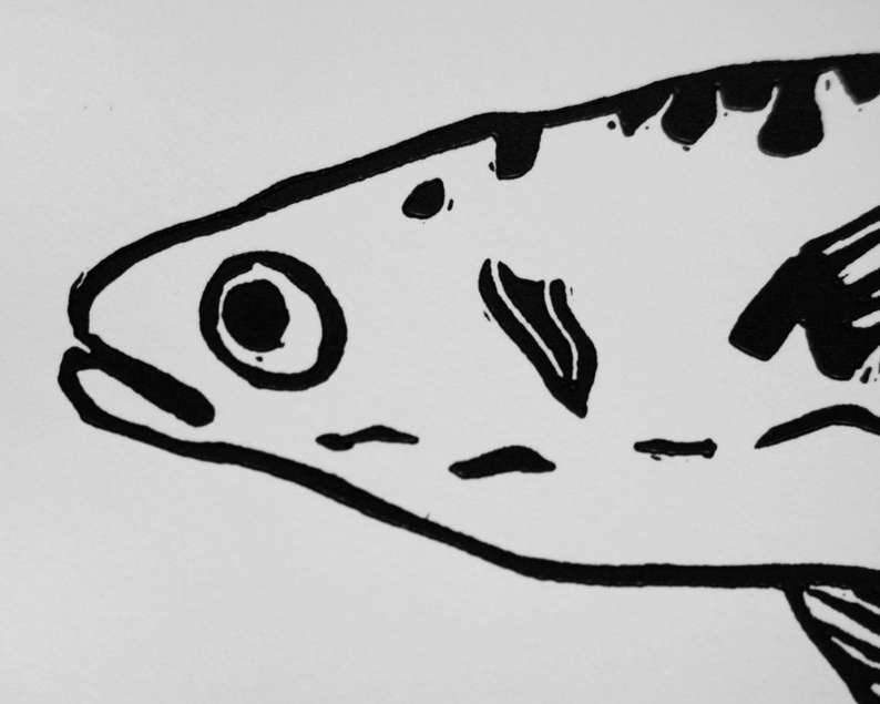 Mackerel linocut print close up