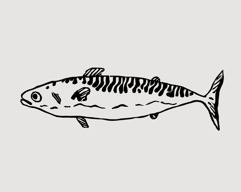 Mackerel linocut print unframed
