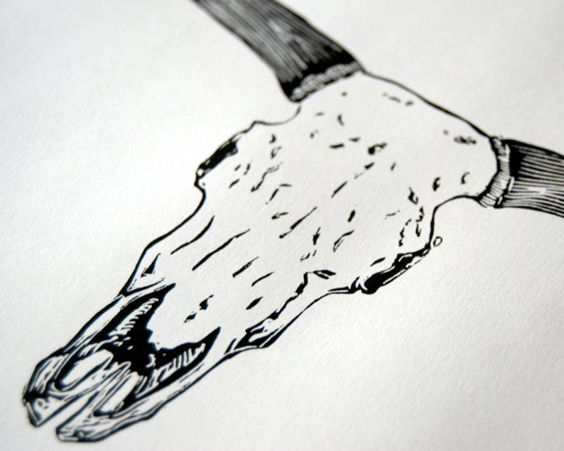 Steer skull linocut close up1
