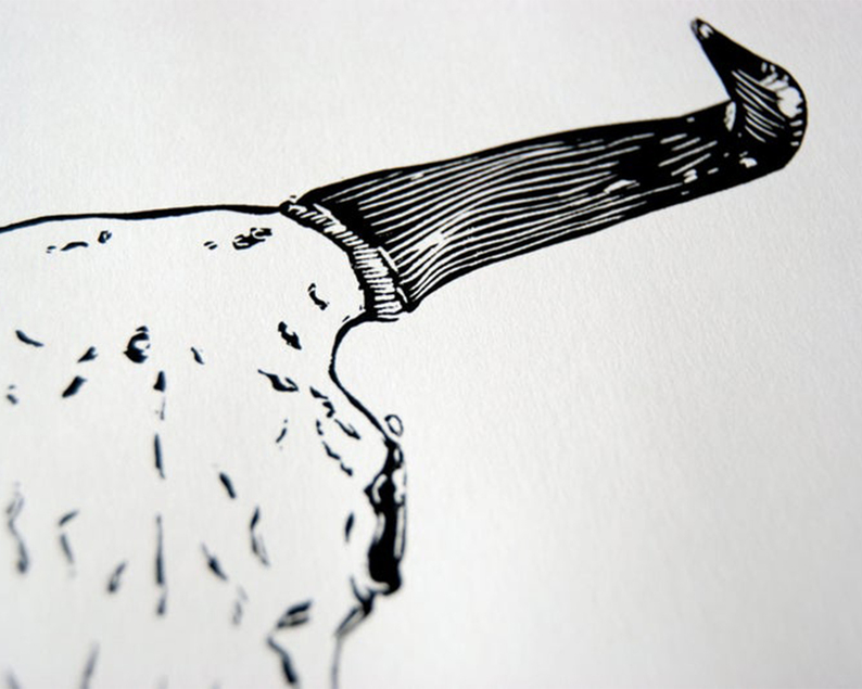 Steer skull linocut close up2