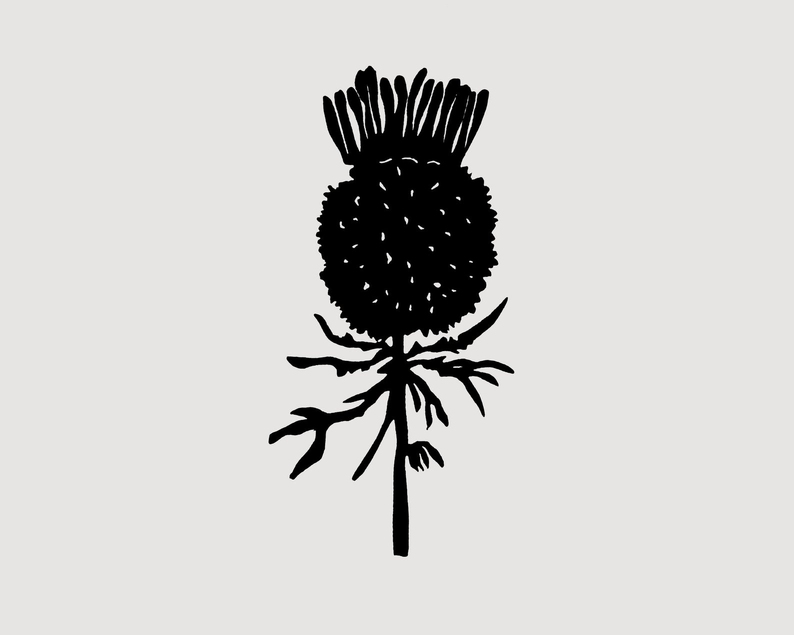 Thistle linocut print unframed