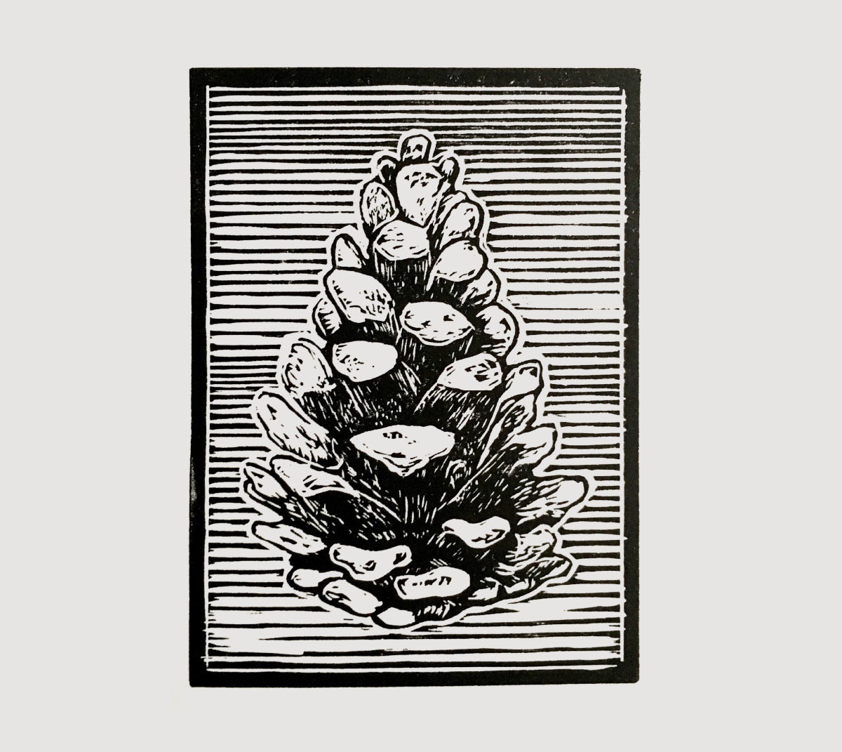 Pine cone linocut print