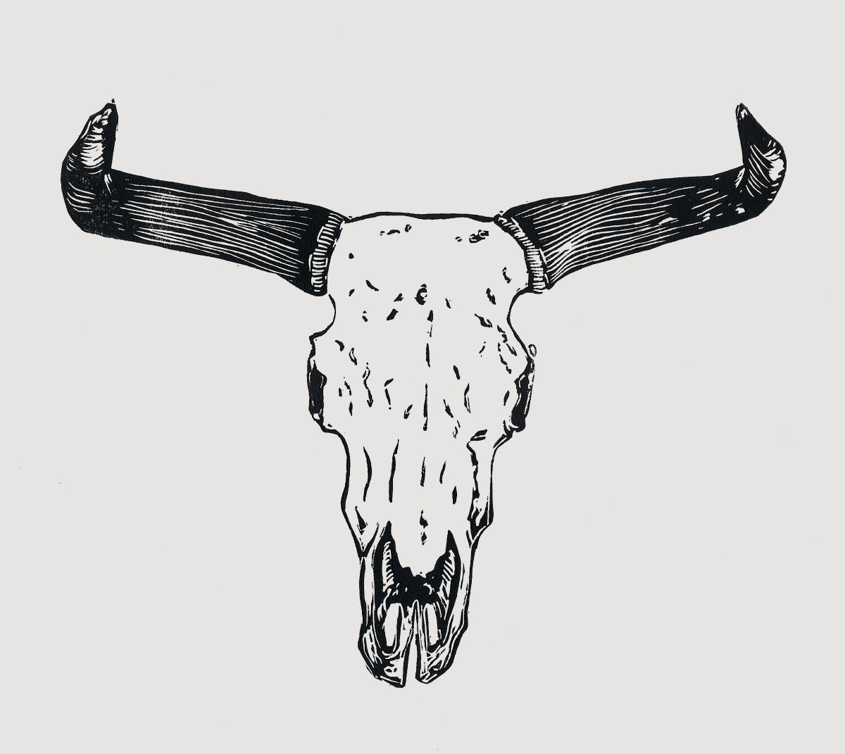 Steer skull linocut